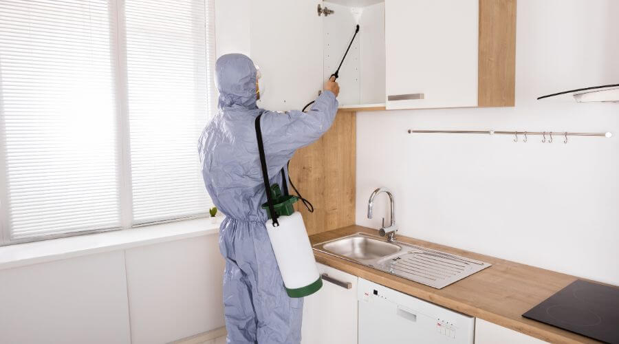 Professional pest extermination services in Huntington